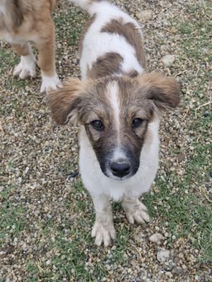 Whatsapp bild 2025 09 10 um 09.38.34 ac963121