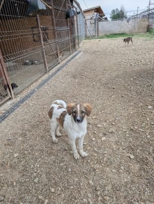 Whatsapp bild 2025 09 10 um 09.39.45 2bed3aef