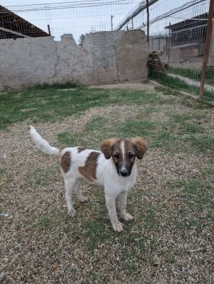 Whatsapp bild 2025 09 10 um 09.39.46 951caecb