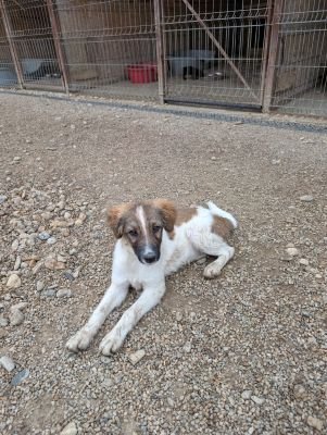 Whatsapp bild 2025 09 10 um 09.39.46 d6fc3c95