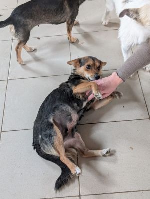 Whatsapp bild 2025 09 12 um 14.04.05 a2418907