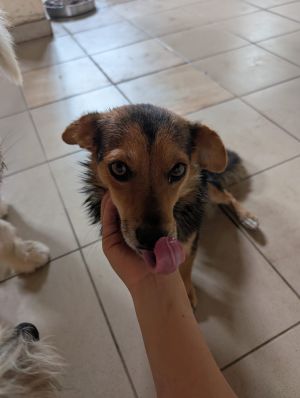 Whatsapp bild 2025 09 12 um 14.04.11 f6fb322a