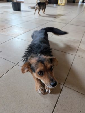 Whatsapp bild 2025 09 12 um 14.04.12 efcc6926