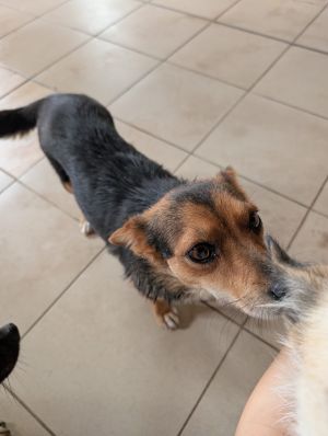 Whatsapp bild 2025 09 12 um 14.04.13 4b9c70da