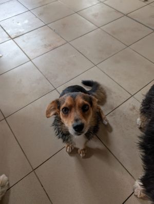 Whatsapp bild 2025 09 12 um 14.04.14 7ccb2728