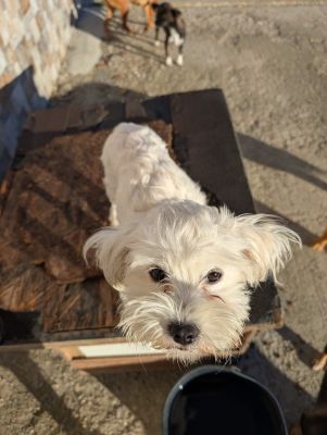 Whatsapp bild 2025 09 18 um 07.30.12 86e590cb