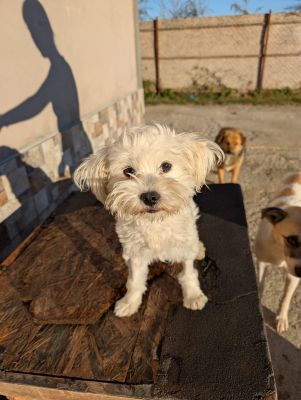 Whatsapp bild 2025 09 18 um 07.30.13 09742315