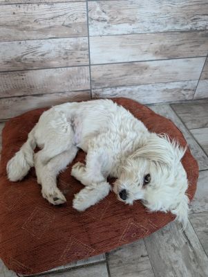 Whatsapp bild 2025 09 18 um 07.30.14 6cb45f1e