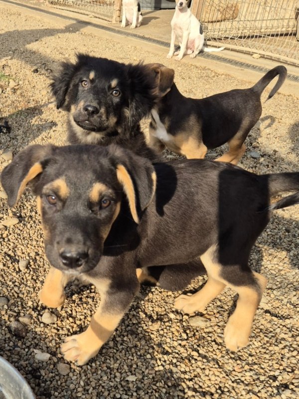 Whatsapp bild 2025 09 25 um 09.54.04 9809d9a8