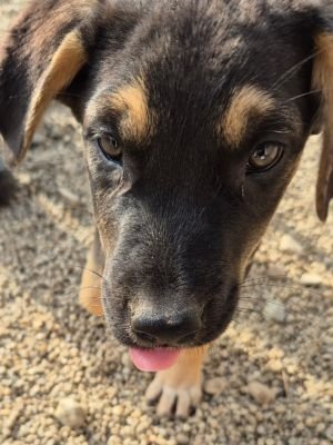 Whatsapp bild 2025 09 25 um 09.54.08 0cc75351