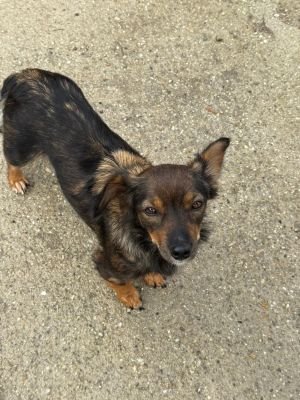 Whatsapp bild 2025 10 09 um 10.08.39 e281017a