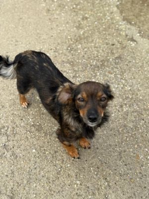 Whatsapp bild 2025 10 09 um 10.08.40 ebe49a5e