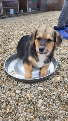 Whatsapp bild 2025 10 09 um 12.51.03 693b81c8