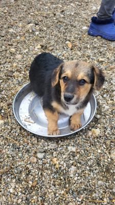 Whatsapp bild 2025 10 09 um 12.51.04 02433f8b