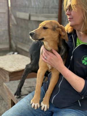 Whatsapp bild 2025 10 10 um 17.59.09 1dd63061