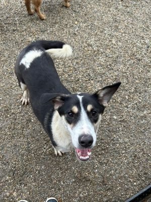 WhatsApp Bild 2025 11 20 um 10.27.05 191a5413