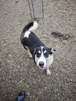 WhatsApp Bild 2025 11 20 um 10.27.08 99c65774