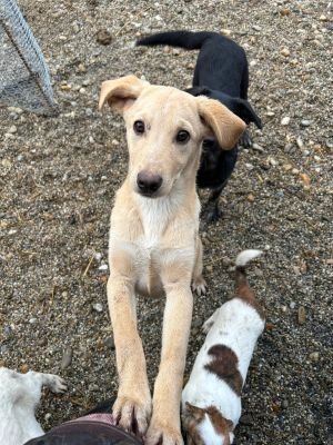 WhatsApp Bild 2025 11 21 um 17.47.23 971e2f96