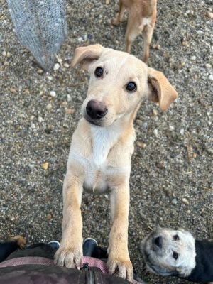 WhatsApp Bild 2025 11 21 um 17.47.24 2f17792d