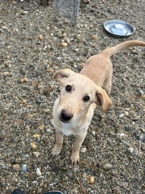 WhatsApp Bild 2025 11 21 um 17.47.24 c32e8cb2