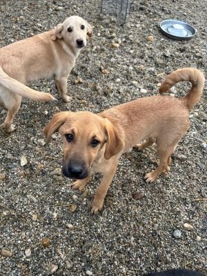 WhatsApp Bild 2025 11 21 um 17.50.14 1ce3afb1