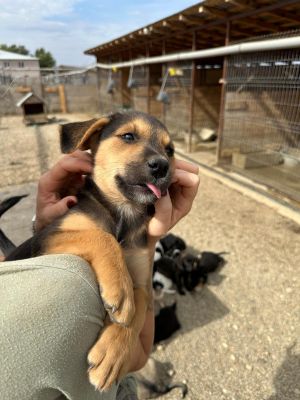 Whatsapp image 2025 09 11 at 11.11.20 (2)