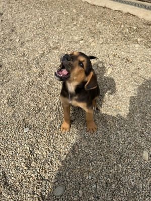 Whatsapp image 2025 09 11 at 11.11.21 (1)