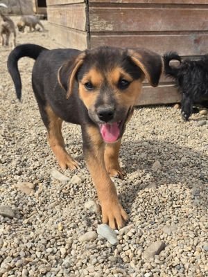 Whatsapp image 2025 09 11 at 11.11.21 (2)