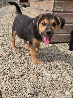 Whatsapp image 2025 09 11 at 11.11.21 (5)