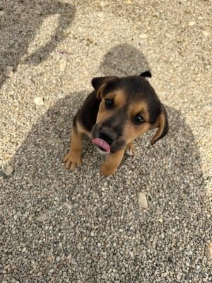 Whatsapp image 2025 09 11 at 11.11.21