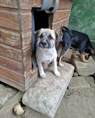 Whatsapp image 2025 10 02 at 16.48.51 (1)