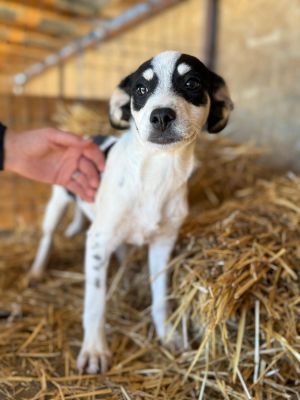 Whatsapp image 2025 10 13 at 21.06.39 (1)