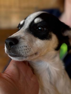 Whatsapp image 2025 10 13 at 21.06.39 (4)