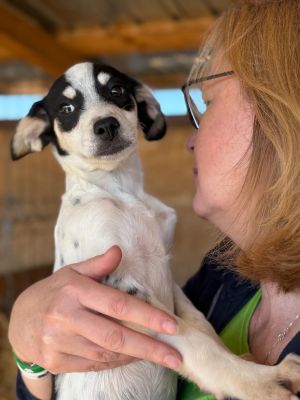 Whatsapp image 2025 10 13 at 21.06.40 (2)