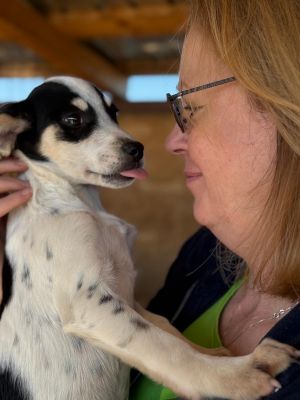 Whatsapp image 2025 10 13 at 21.06.40 (4)