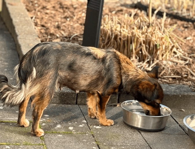 2025 10 19 22 09 38 posteingang sina.rieke kroeger@oetker.com outlook