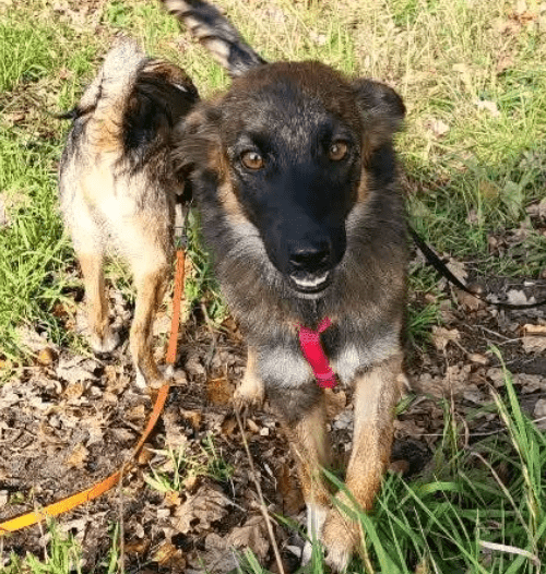 2025 10 19 22 11 25 posteingang sina.rieke kroeger@oetker.com outlook