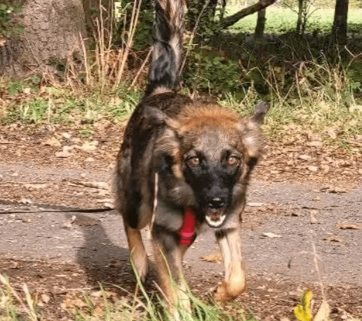 2025 10 19 22 11 30 posteingang sina.rieke kroeger@oetker.com outlook