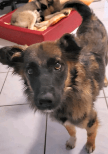 2025 10 19 22 11 35 posteingang sina.rieke kroeger@oetker.com outlook