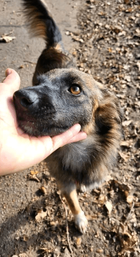 2025 10 19 22 11 50 posteingang sina.rieke kroeger@oetker.com outlook