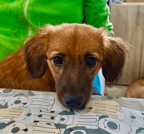 2025 11 02 15 44 34 posteingang sina.rieke kroeger@oetker.com outlook