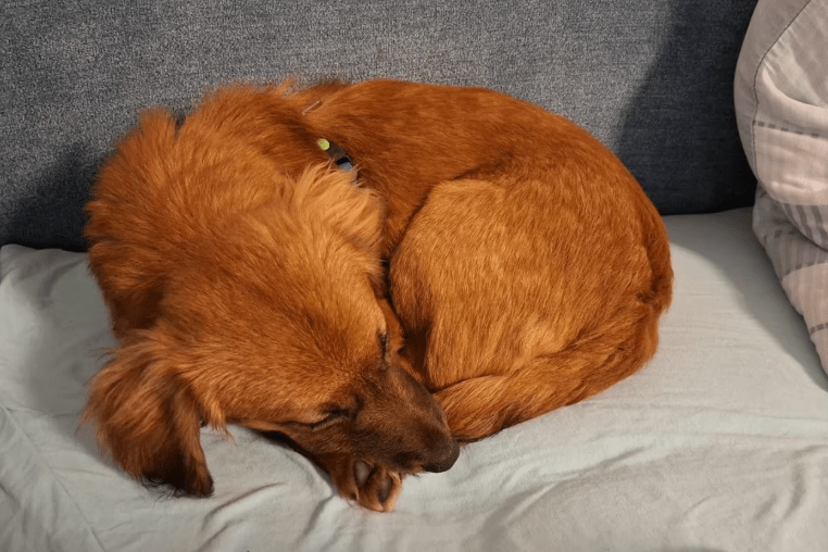 2025 11 02 15 44 39 posteingang sina.rieke kroeger@oetker.com outlook