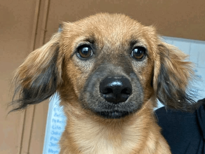 2025 11 02 15 44 44 posteingang sina.rieke kroeger@oetker.com outlook