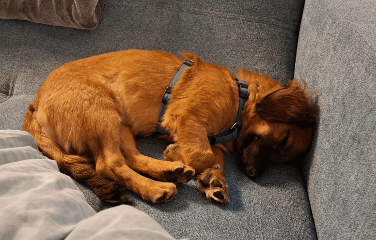 2025 11 02 15 44 52 posteingang sina.rieke kroeger@oetker.com outlook