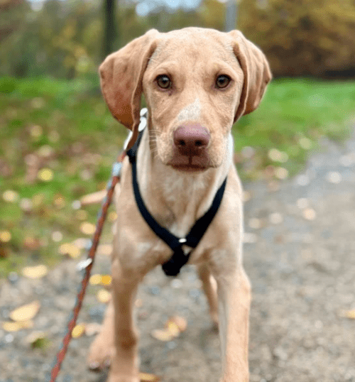 2025 11 02 15 54 34 posteingang sina.rieke kroeger@oetker.com outlook