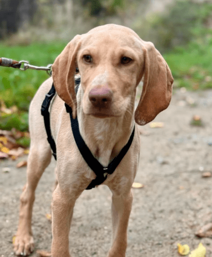 2025 11 02 15 54 39 posteingang sina.rieke kroeger@oetker.com outlook