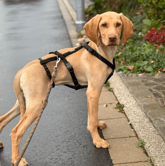 2025 11 02 15 54 44 posteingang sina.rieke kroeger@oetker.com outlook