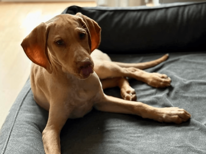 2025 11 02 15 54 50 posteingang sina.rieke kroeger@oetker.com outlook