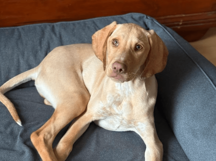 2025 11 02 15 54 55 posteingang sina.rieke kroeger@oetker.com outlook