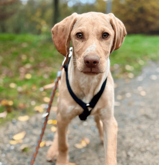 2025 11 02 15 55 04 posteingang sina.rieke kroeger@oetker.com outlook